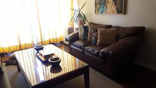 Excellent Large Apartment with Sea View - Viña del Mar - 8