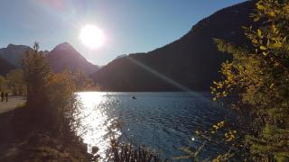 Apart Alexandra - Strass im Zillertal - 9