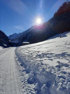 Apart Alexandra - Strass im Zillertal - 8