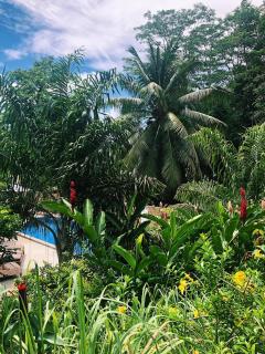 Eden Hills Residence - Anse Boileau - 4