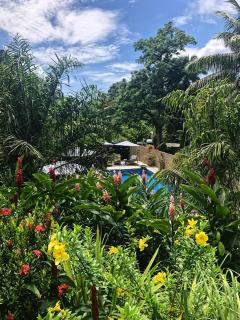 Eden Hills Residence - Anse Boileau - 5