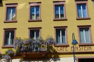 Apartments im Café Einstein - Friburgo em Brisgóvia - 9