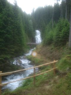 Lenzbauer - Lessach - 6