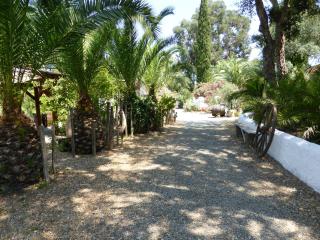 Relais de Bravone - Linguizzetta - 7