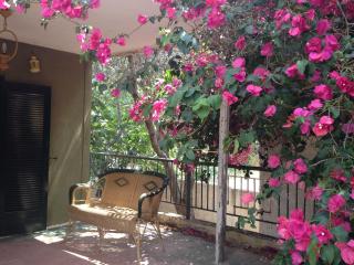 Kokos Traditional Family House - Sounio - 8