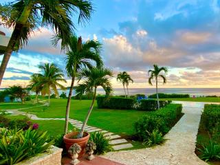 Blue Horizon Boutique Resort - Vieques - 2