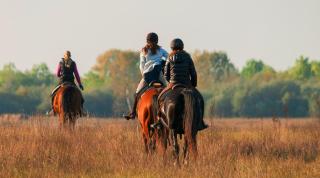HOMOKI LODGE Bed & Beyond Glamping - Ruzsa - 6