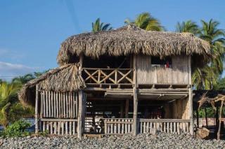 Pelicano Surf Camp - 1