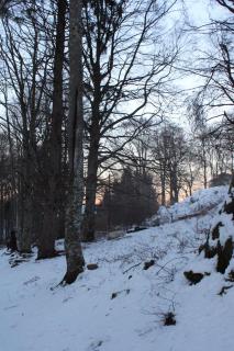 Residenza il bosco - Prada - 7