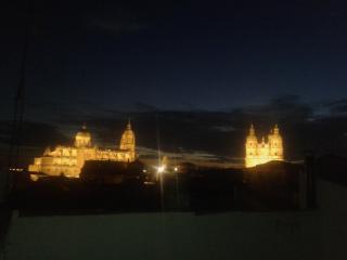 Salamanca Centro Apartamentos - Salamanca - 8