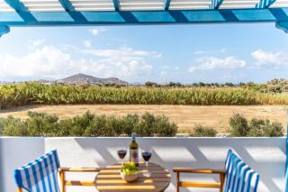 Surfer Paradise - Naxos Chora - 1