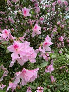 賽斯村-魯柏館 - 7