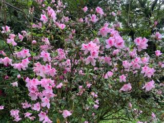 賽斯村-魯柏館 - 5
