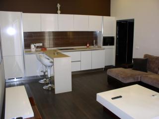 One bedroom. Lux. 42.Shota Rustaveli str. Centre - Kiev - 8