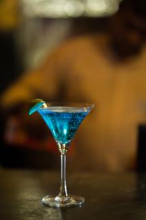 TSG Emerald View Hotel and SPA - Port Blair - 5