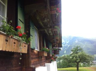 Ferienwohnung im Grünen - Grindelwald - 8