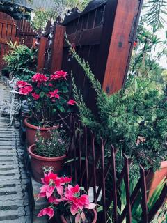 Yiyue Guanhe Homestay 倚月觀荷民宿 - Danei - 5