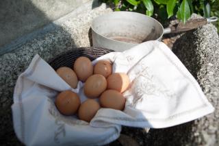 B&B I Corni di Nibbio - 4