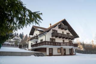 Vila Molidul Zarnesti - Zărneşti - 3