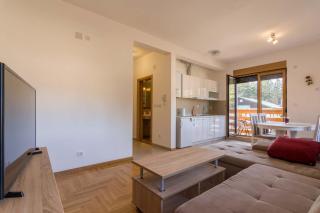 Apartman Veselinovic - Zlatibor - 7