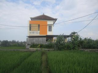 OrangeDacha - Canggu - 3