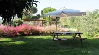 Agriturismo Renello - Petroio - 3