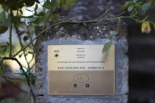 Agriturismo Casariccio - Casa Dalia - Bucine - 3