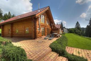 Luxus-Ferienhaus Blockhaus Chalet Nr 3 Toplage am Feldberg mit Sauna, Outdoor-Hottub, Kamin auf 1300m üM - Feldberg - 8