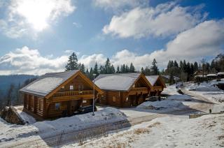 Luxus-Ferienhaus Blockhaus Chalet Nr 3 Toplage am Feldberg mit Sauna, Outdoor-Hottub, Kamin auf 1300m üM - Feldberg - 7