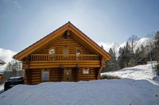 Luxus-Ferienhaus Blockhaus Chalet Nr 3 Toplage am Feldberg mit Sauna, Outdoor-Hottub, Kamin auf 1300m üM - Feldberg - 3