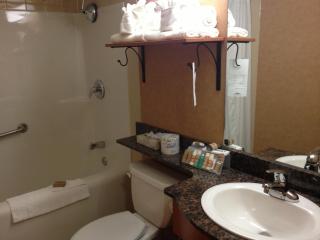 Rosslyn Inn & Suites - 8