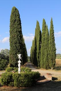 Villa Albertina - Montespertoli - 5