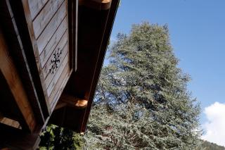 Prestigious Chalet - Saint-Gervais-les-Bains - 3
