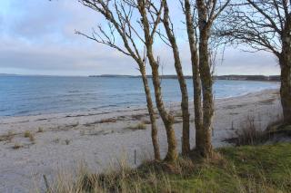 KLEINE LANDLIEBE - 9