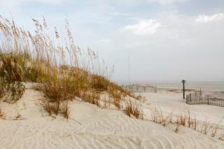 Catesby's Bluff 2240 - Seabrook Island - 9