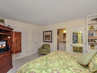Golf Shore 458 - Seabrook Island - 2