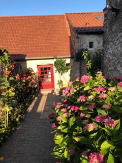 Gîte de la moinette - Azé - 9