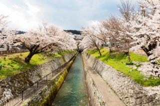 Temple-stay WAQOO Mii-dera - Otsu - 5