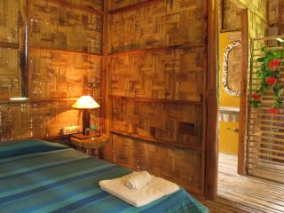 The Forest Elephant - Formerly known as the Flying Elephant - Havelock Island - 4