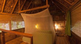 The Forest Elephant - Formerly known as the Flying Elephant - Havelock Island - 5