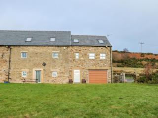 Auckland Cottage - 9
