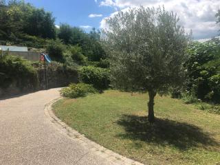 Les terrasses du Rhône - Vienne - 6