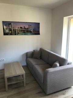 Apartmán Horní Lipová - Horní Lipová - 5
