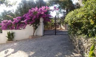 Apartmani Križanac - Okrug Donji - 8