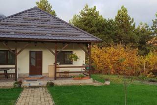 Limpedea Green House - Baia Mare - 4