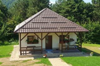 Limpedea Green House - Baia Mare - 9