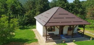 Limpedea Green House - Baia Mare - 6