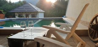 Limpedea Green House - Baia Mare - 2