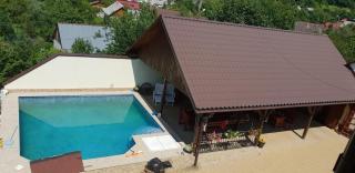 Limpedea Green House - Baia Mare - 3