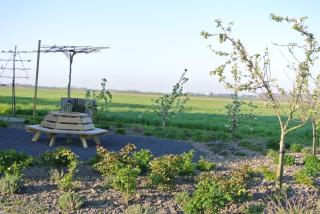 B&B Bouwmanshoeve - Burgh Haamstede - 6
